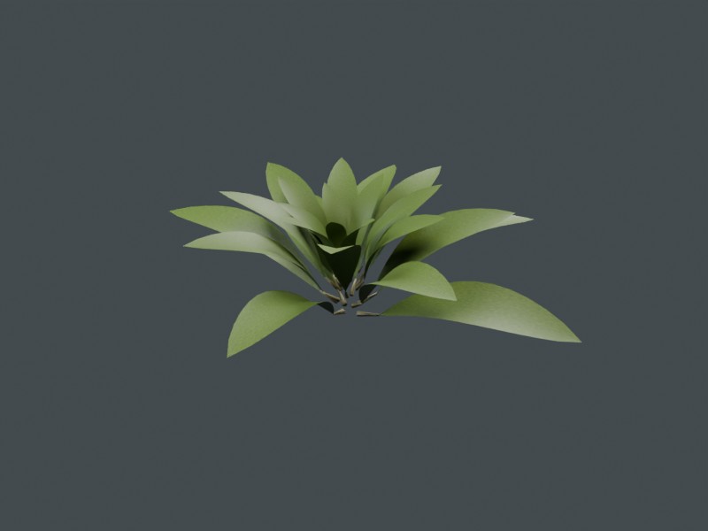 Ground rosette browser derivative material preview