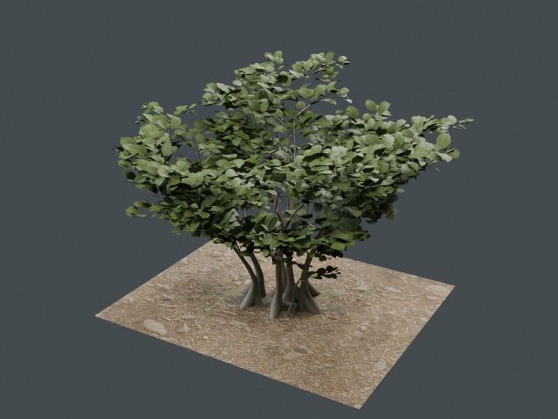 Hazel-inspired bush browser derivative material preview