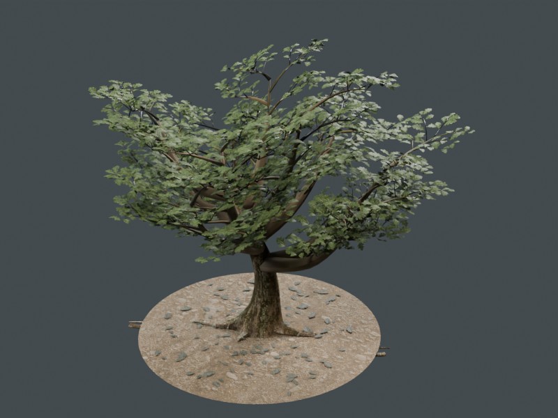 Mature oak browser derivative material preview
