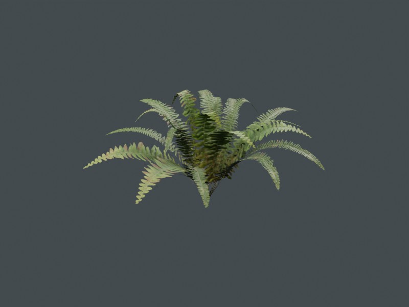 Woodland fern browser derivative material preview