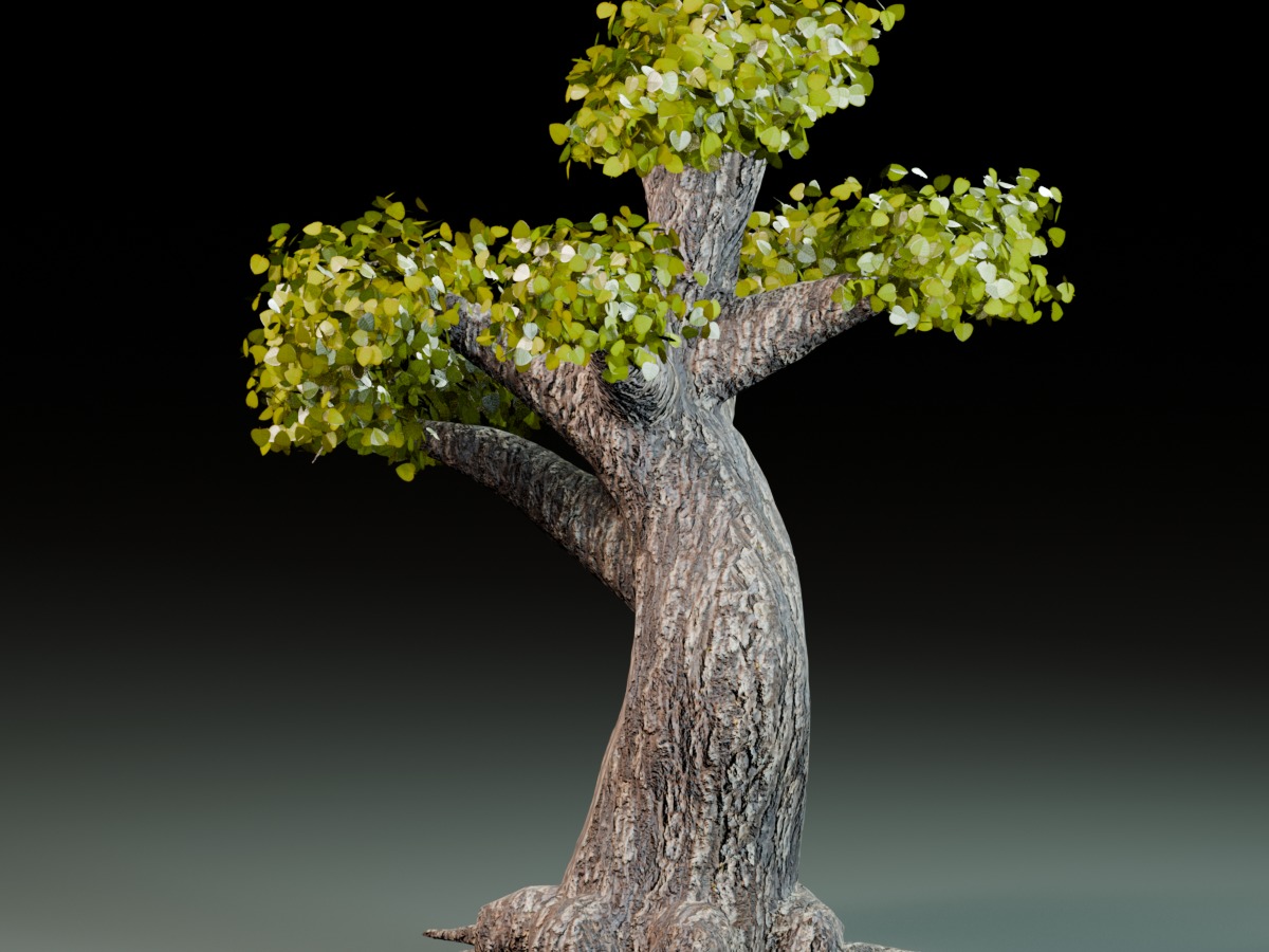 Dantooine twisted tree with a narrow S-curve trunk.