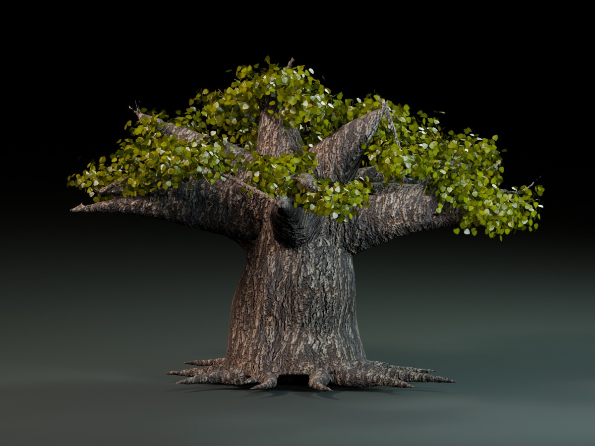 Dantooine tree with a low, broad layered canopy.