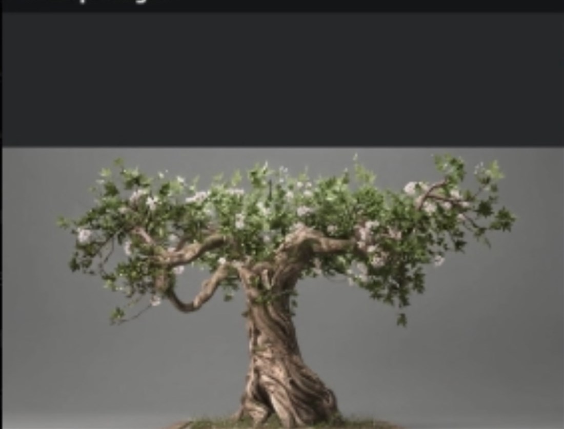 Visual target for the Uneti tree's broad canopy and twisted trunk.